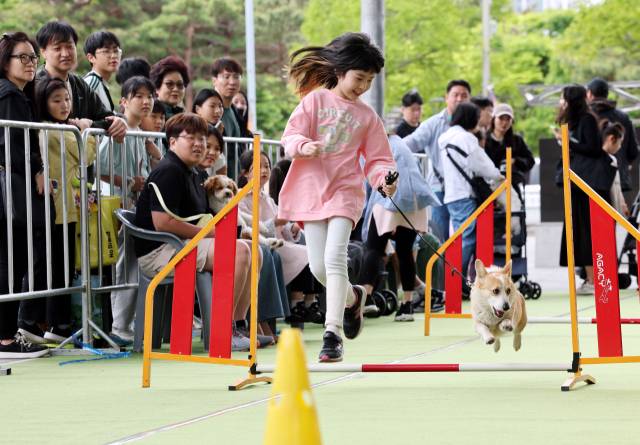 행사장에서 한 어린이가 반려견과 함께하는 운동회에 참여하고 있다. 정종회 기자 jjh@