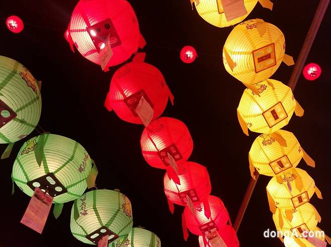 부처님 오신 날을 기념해 연등이 휘날리고 있다. (최강주 기자 gamja822@donga.com)