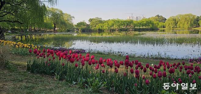 호수공원의 호숫가를 따라 조성된 고양로컬가든. 고양=김선미 기자 kimsunmi@donga.com