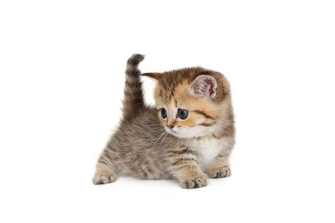 게티이미지뱅크.