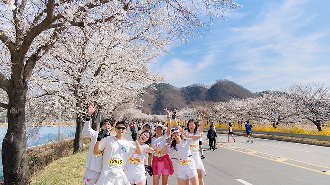 지난 3월 개최한 제24회 합천벚꽃마라톤대회에 참가한 참가자들이 기념촬영을 하고 있다. 합천군 제공