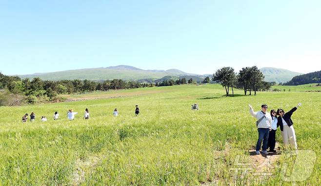 4일 오후 넷플릭스 인기 시리즈 '폭싹 속았수다' 촬영지인 제주시 오라2동 청보리밭에서 상춘객들이 봄 기운을 만끽하고 있다. 2025.5.4/뉴스1 ⓒ News1 오미란 기자