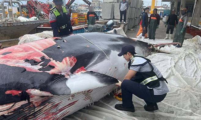 사진=포항해경 제공