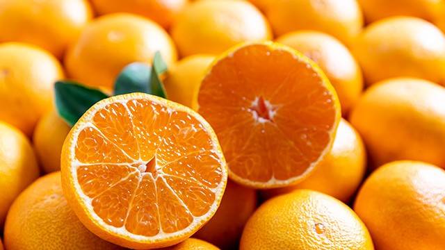 감귤류 껍질은 인지 기능 보호 효과가 있다|출처: 클립아트코리아