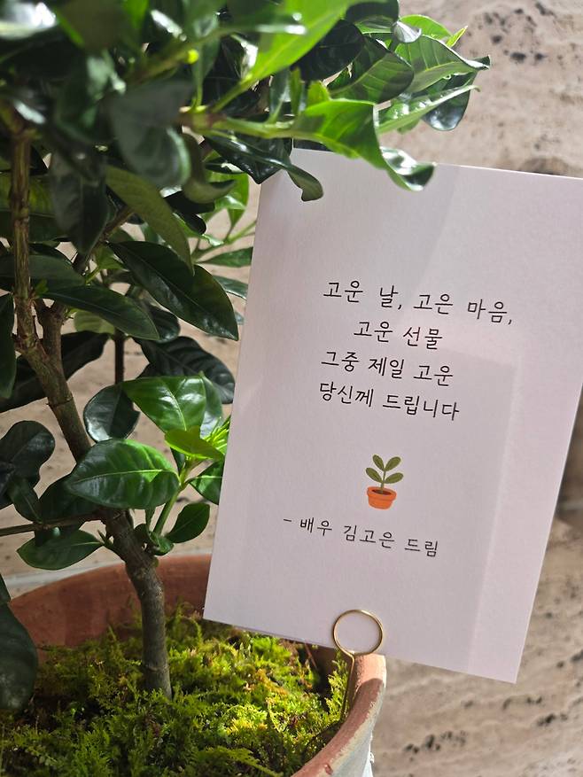 BH엔터테인먼트 제공