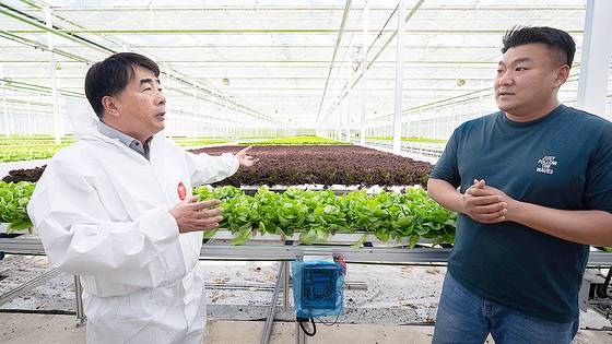 NH농협은행 농업공공금융부문 백남성 부행장(왼쪽)과 한상태 H&A 대표(오른쪽)가 스마트팜 설비 앞에서 농업 금융 지원 방안에 대해 이야기를 나누고 있다. 삼성전자에서 14년 간 근무했던 한 대표는 공학 지식을 바탕으로 샐러드 채소를 자동 재배하는 스마트팜 설비를 구축했다. 한씨는 NH농협은행의 농업금융컨설팅을 바탕으로 50억원의 ‘스마트팜종합자금대출’을 받아 스마트팜 구축 자금으로 활용했다. NH농협은행