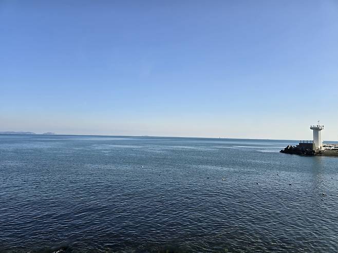 가덕도공항 활주로 예정지. 가덕도=강갑생 기자