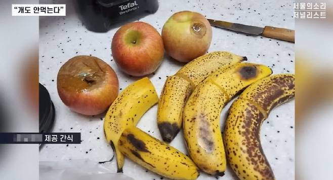 윤석열 전 대통령 처가에서 운영하는 요양원이 입소자들에게 제공했다는 간식.(사진='서울의 소리' 유튜브 채널)