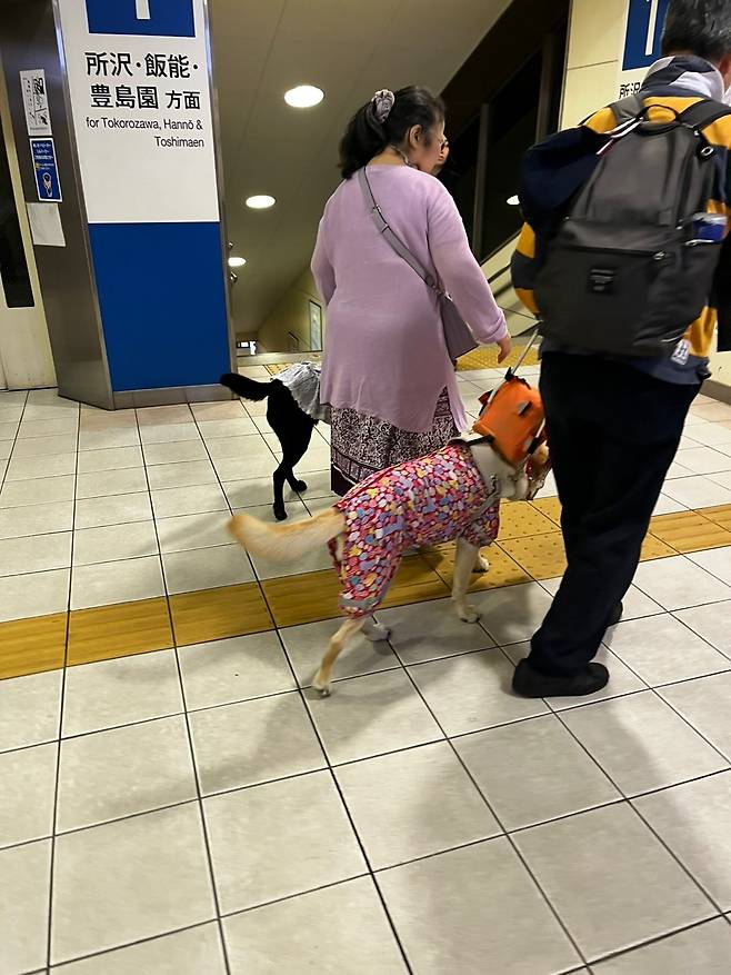 KakaoTalk_20250508_151910442_16.jpg 골든위크에서 살아남기 - 4