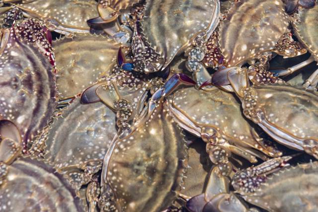 기사 내용과는 무관한 사진. 이미지투데이