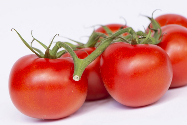 토마토