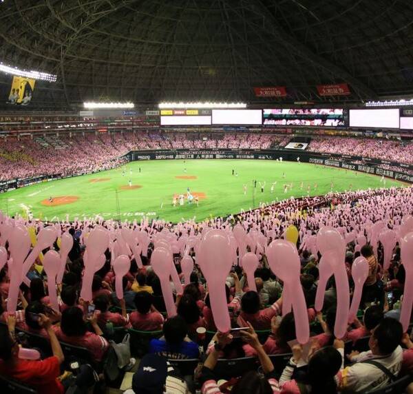 타카걸 이벤트 때의 소프트뱅크 홈구장의 모습. ⓒ소프트뱅크 호크스