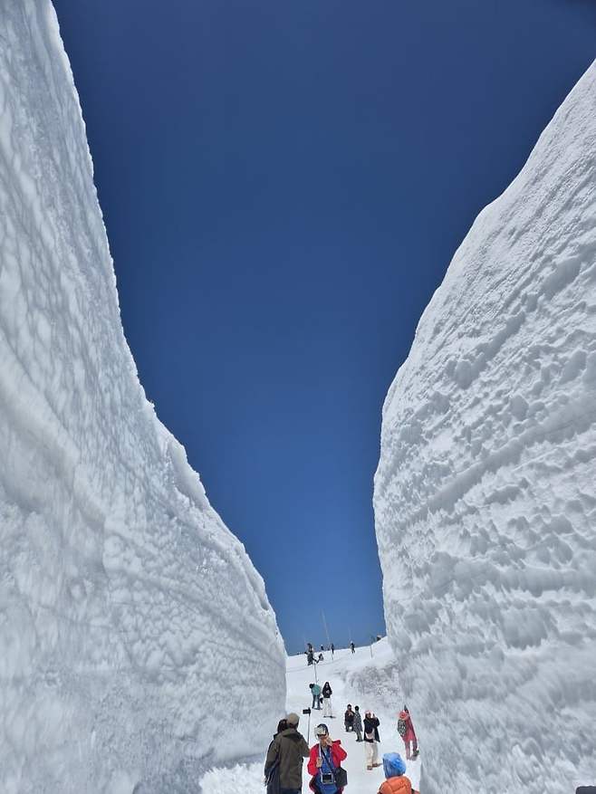 3fb8c32fffd711ab6fb8d38a4782766de7e39e4a9c2e4d57d3fe53d6ec25c3963ac1c080dc4508b277b89d29dc69