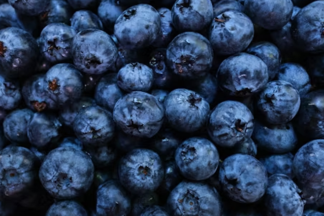 블루베리