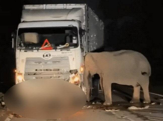 (사진=페이스북 갈무리)