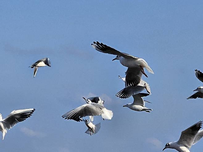 오늘날씨, 내일날씨, 주간날씨 예보 ⓒbnt뉴스= 월요일인 오늘(12일) 날씨는 전국이 대체로 맑겠다. 오늘은 내륙을 중심으로 낮과 밤의 기온차가 15도 내외로 크겠으니, 건강관리에 유의해야겠다. 기상청 오늘날씨 예보에 따르면 이날 서울의 낮 최고기온이 25도까지 오르는 등 초여름 날씨를 보이겠다.