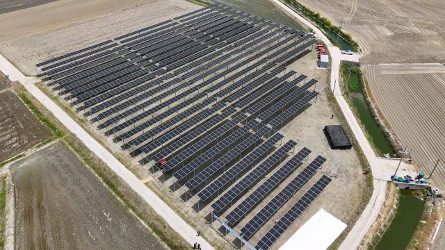 전남 영광군에 설치된 파루의 영농형태양광 발전소 전경. 사진 제공=파루