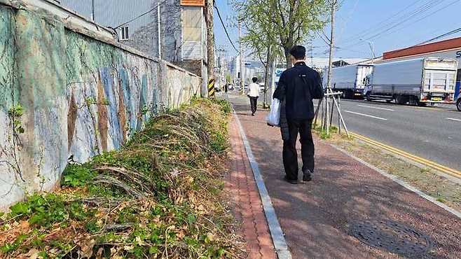 효문공단의 한 업체 담벼락을 타고 자생한 담쟁이과 식물이 도보를 가리고 있다.