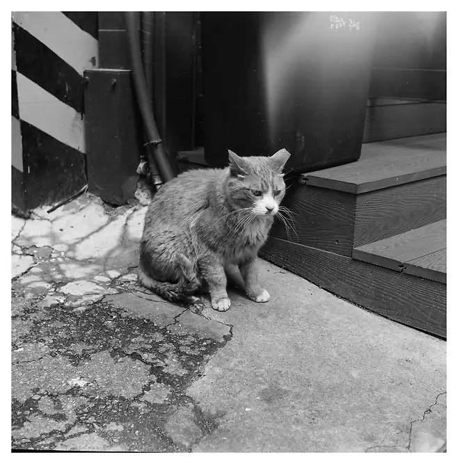 7eeb887fb58268f120a8d3b706f11a39fe22feb373cd300c79ce