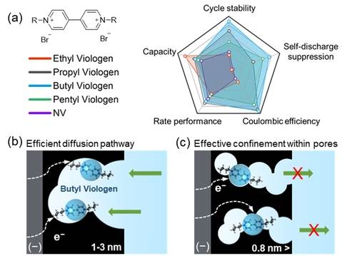 a) 바이올로젠의 치환기 변화에 따른 셀 성능 변화 모식도 b) 1-3 ㎚ 크기의 기공 내에서 부틸 비올로겐(BV)의 흡착 및 확산 경향 c) 0.8 ㎚ 이하의 미세기공에서 BV와 기공 간 매칭을 통한 자가방전 억제 메커니즘. 레독스 분자의 크기에 따라 셀 성능이 달라짐을 나타냄. 사용된 전극에서 BV가 가장 높은 구조적 호환성을 보여 최적의 용량, 속도, 자가방전 억제 및 장기 안정성을 나타냄.