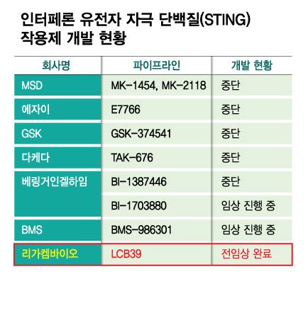 인터페론 유전자 자극 단백질(STING) 작용제 개발 현황/디자인=김다