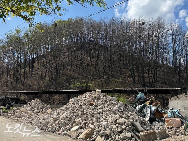 까맣게 탄 산에 둘러싸인 도로리 마을. 이우섭 기자