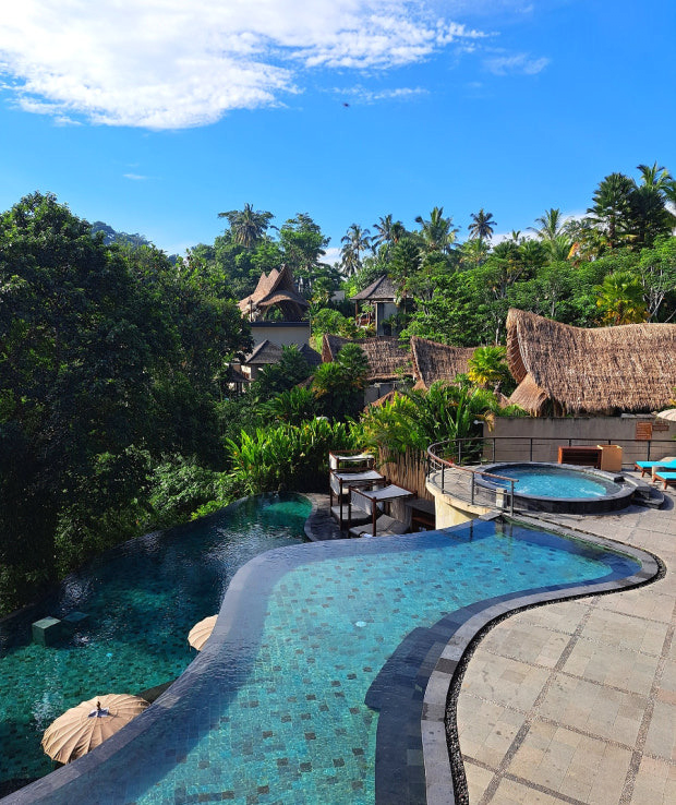 image.png 발리 여행 갔다가 많이들 걸려오는 병