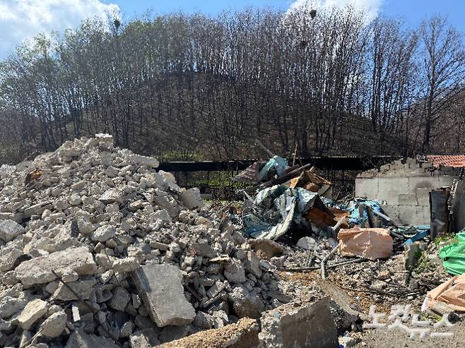 도로리 마을회관 인근, 산불로 전소된 주택 철거 작업이 진행 중이다. 김조휘 기자