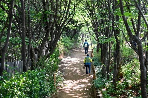 서울 서대문구가 백련산 능선 등산로에 새롭게 조성한 ‘맨발길’을 시민들이 걷고 있다. 서대문구 제공