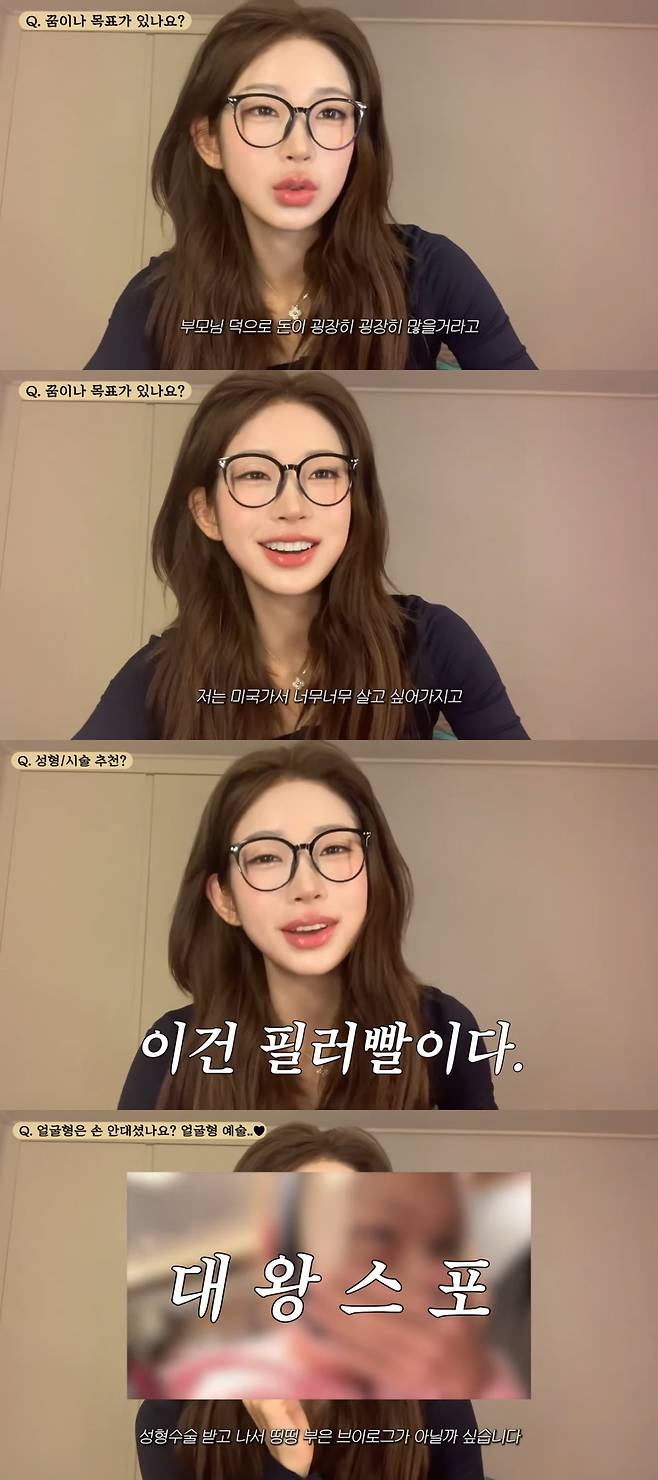 사진 = 최준희 유튜브 채널 갈무리