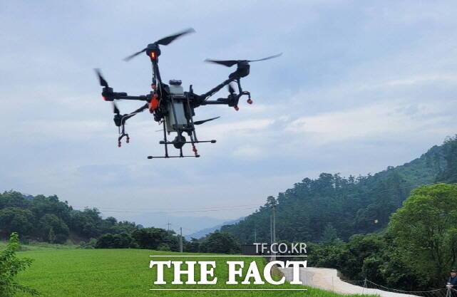 밤나무해충 드론방제 장면. /공주시