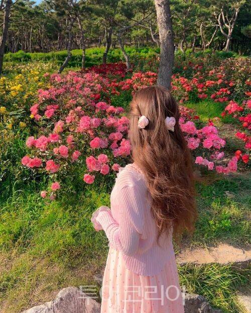 계양산장미원/투어코리아뉴스 정명달 기자 사진=인천관광공사 SNS