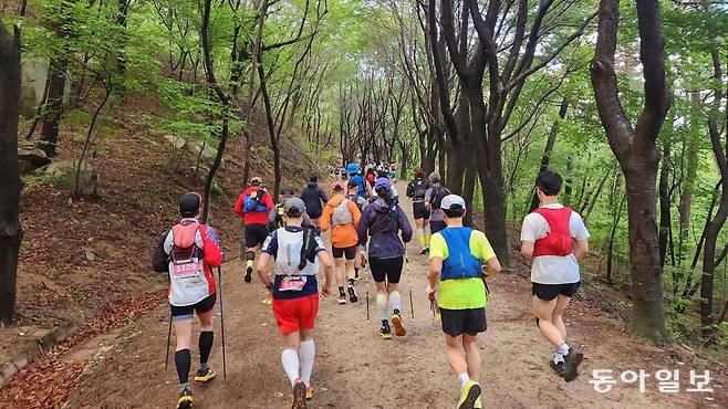 트레일러닝 대회인 ‘부산 50K’에 참가한 러너들이 10일 오전 부산 백양산 임도를 달리고 있다. 김화영 기자 run@donga.com