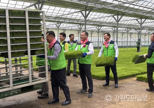 ▲ 김진태 도지사, 신영재 홍천군수, 최우홍 부군수 등은 15일 서홍천농협 벼 육묘장을 찾아 육묘현황을 살피고, 모판을 나르며 벼농사 체험을 진행했다. 유승현