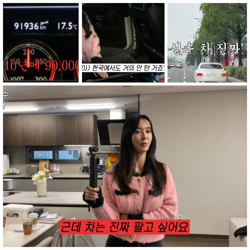 사진 = 유튜브 ‘하원미’