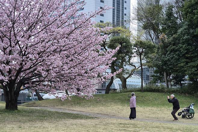 강연실-가족-노부부의 봄나들이 *재판매 및 DB 금지