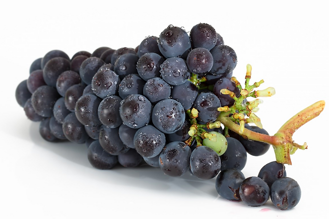 포도