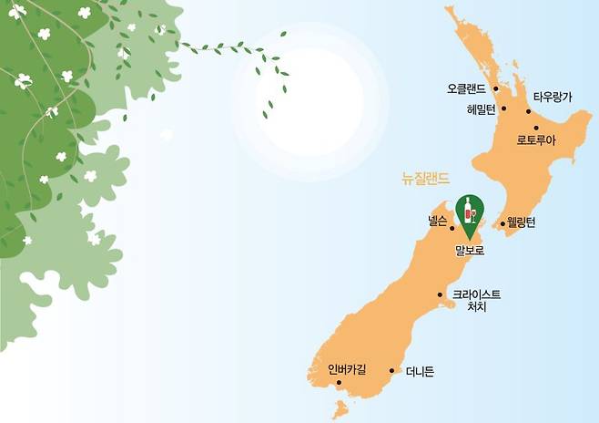 청량한 바닷바람 속 ‘최상의 포도’로… 와인강자 떠오