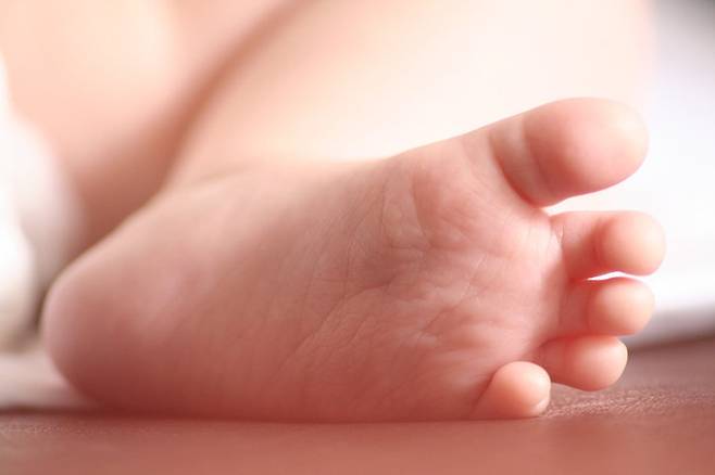 게티이미지뱅크.