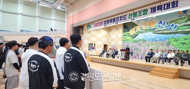 ▲ 2025년 강원특별자치도 산림조합 체육대회가 17일 인제군 남면생활체육공원에서 도내 15개 시·군산림조합과 산림조합중앙본부 강원지역본부 임직원 등이 참가한 가운데 열렸다.