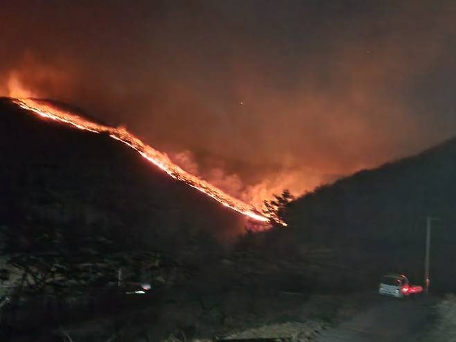 불에 타고 있는 의성군 안평면 괴산리의 한 야산. 괴산1리 김정호 이장 제공