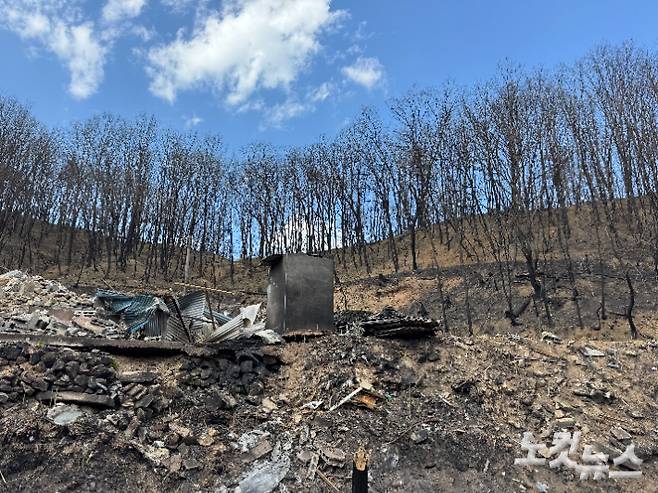 까맣게 탄 산에 둘러싸인 도로리 마을. 김조휘 기자