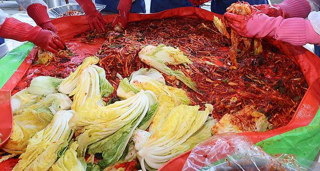 자료사진. 동아일보 DB