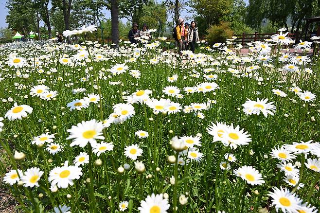 지난 13일 경남 거창군 남상면 거창 창포원에 봄꽃이 만개해 있다. 연합뉴스