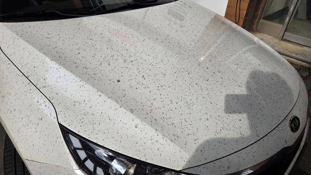 17일 화재 현장 인근에 주차된 차량에 검은 재가 쌓여있다. 광주=김진영 기자