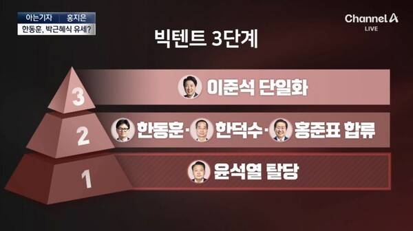 ▲지난 17일 채널A '뉴스A' 방송화면 갈무리