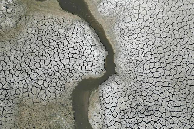 유럽 벨기에의 한 지역에서 심각한 가뭄이 발생한 모습. 사진 내용은 기사와 직접적인 관련 없음. AFP연합뉴스