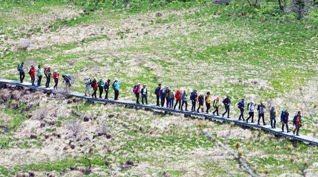 ▲ 인제 대암산 용늪 생태탐방이 최근 재개돼 재개 후 첫 주말·휴일인 지난 18일 탐방객들이 4000여년에 걸쳐 형성된 자연의 숨결을 만끽하고 있다. 대암산 용늪은 해발 1280m에 자리한 우리나라에서 유일한 고층 습원이며 여러 희귀 동식물이 서식하고 있으며 ‘이탄습지 지형’이 잘 보존돼 있다. 인제군 제공