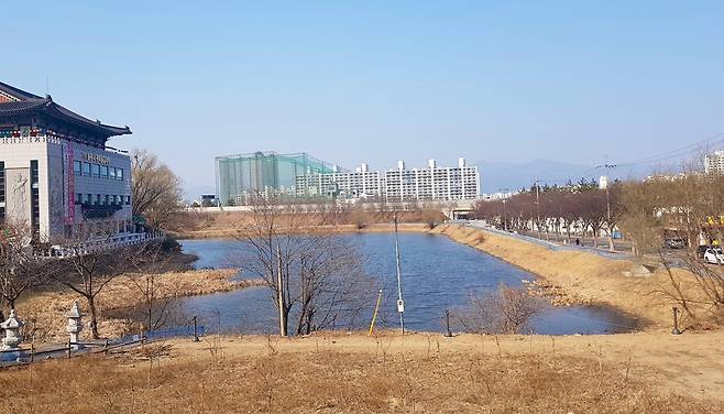 전국 최대의 두꺼비 산란지인 대구 수성구 욱수동 망월지의 모습. 수성구 제공