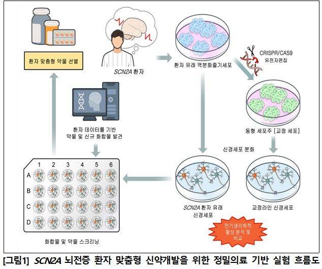 [서울=뉴시스[ SCN2A 뇌전증 환자 맞춤형 신약개발을 위한 정밀의료 기반 실험 흐름도 2025. 5. 19 (그림=한국보건산업진흥원 제공) *재판매 및 DB 금지